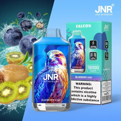 Blueberry Kiwi | Falcon 16k Puffs Disposable Vape